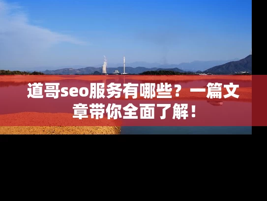 道哥seo服务有哪些？一篇文章带你全面了解！