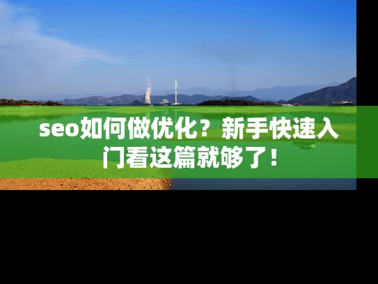 seo如何做优化？新手快速入门看这篇就够了！