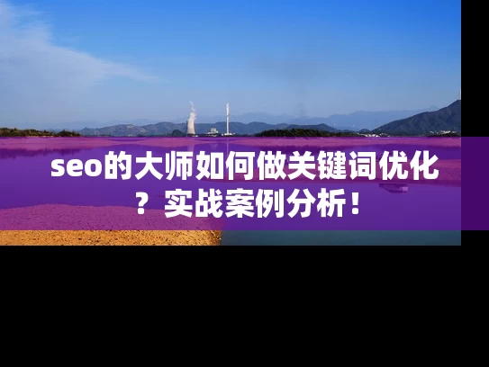 seo的大师如何做关键词优化？实战案例分析！