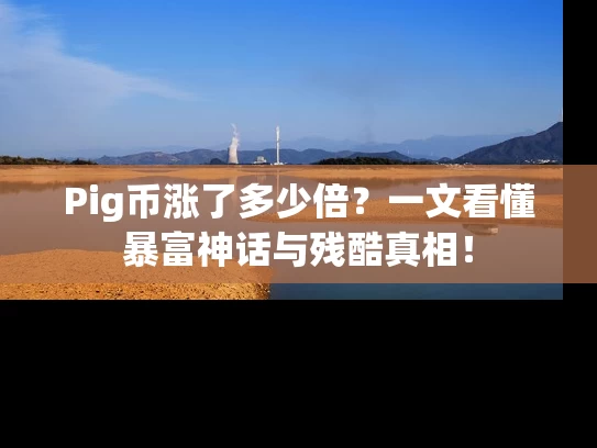 Pig币涨了多少倍？一文看懂暴富神话与残酷真相！