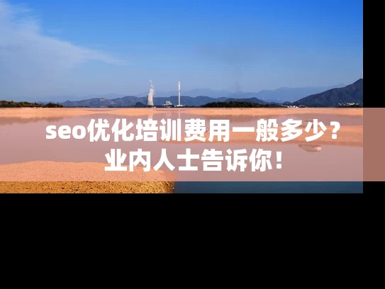 seo优化培训费用一般多少？业内人士告诉你！