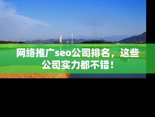 网络推广seo公司排名，这些公司实力都不错！
