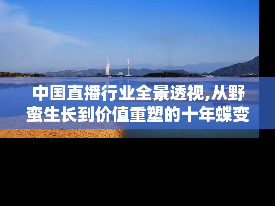 中国直播行业全景透视,从野蛮生长到价值重塑的十年蝶变