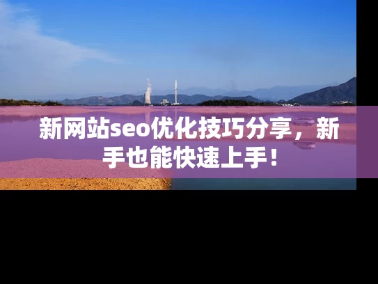 新网站seo优化技巧分享，新手也能快速上手！
