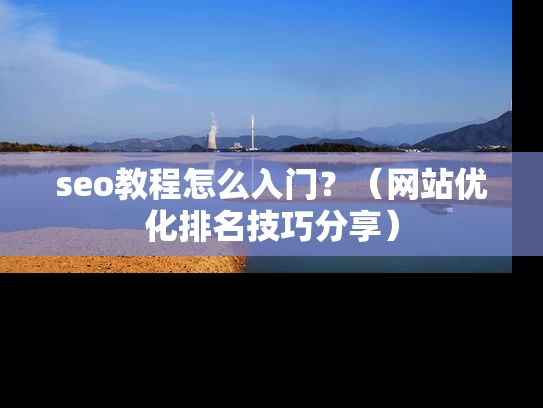 seo教程怎么入门？（网站优化排名技巧分享）