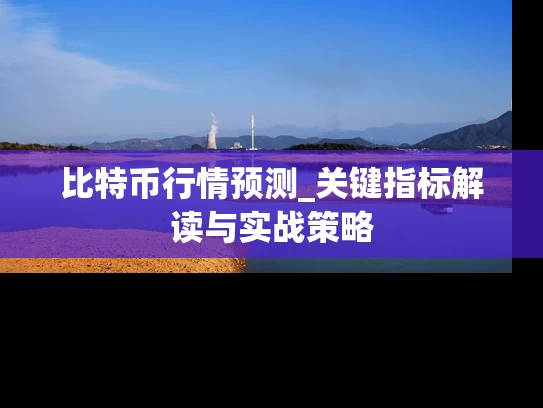 比特币行情预测_关键指标解读与实战策略