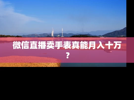 微信直播卖手表真能月入十万？