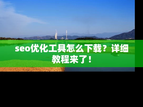seo优化工具怎么下载？详细教程来了！