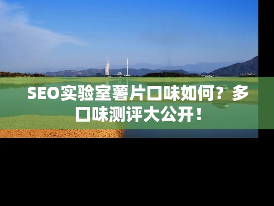 SEO实验室薯片口味如何？多口味测评大公开！