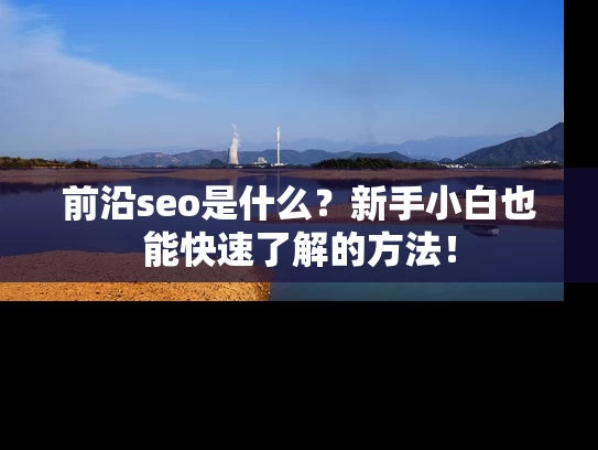 前沿seo是什么？新手小白也能快速了解的方法！