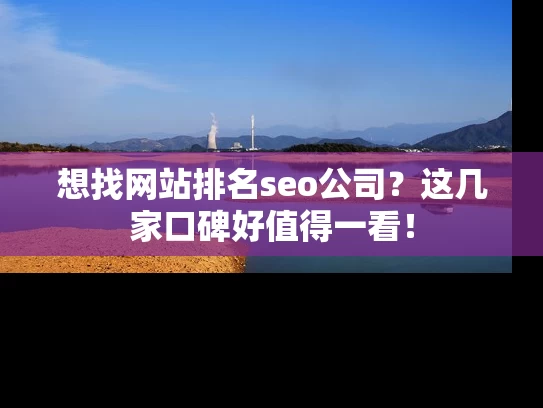 想找网站排名seo公司？这几家口碑好值得一看！