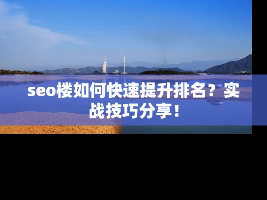 seo楼如何快速提升排名？实战技巧分享！