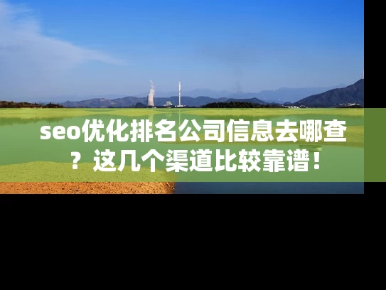 seo优化排名公司信息去哪查？这几个渠道比较靠谱！