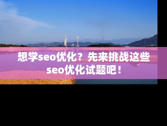 想学seo优化？先来挑战这些seo优化试题吧！