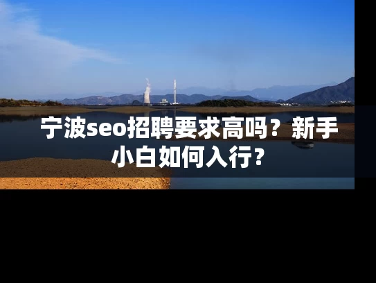 宁波seo招聘要求高吗？新手小白如何入行？