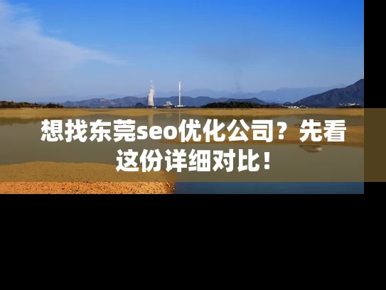 想找东莞seo优化公司？先看这份详细对比！