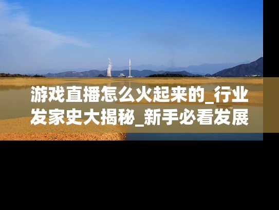游戏直播怎么火起来的_行业发家史大揭秘_新手必看发展路线