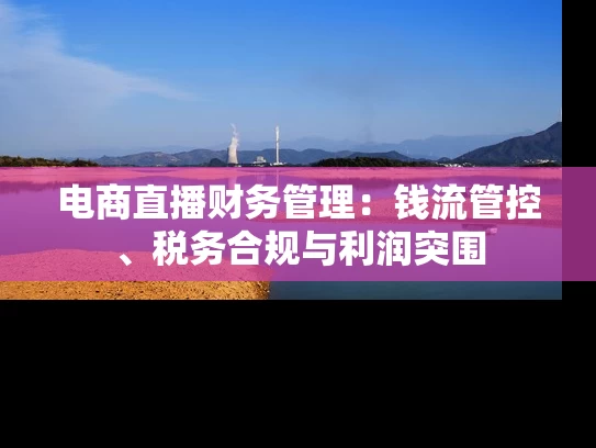 电商直播财务管理：钱流管控、税务合规与利润突围