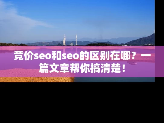 竞价seo和seo的区别在哪？一篇文章帮你搞清楚！