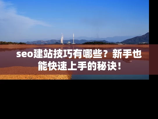 seo建站技巧有哪些？新手也能快速上手的秘诀！