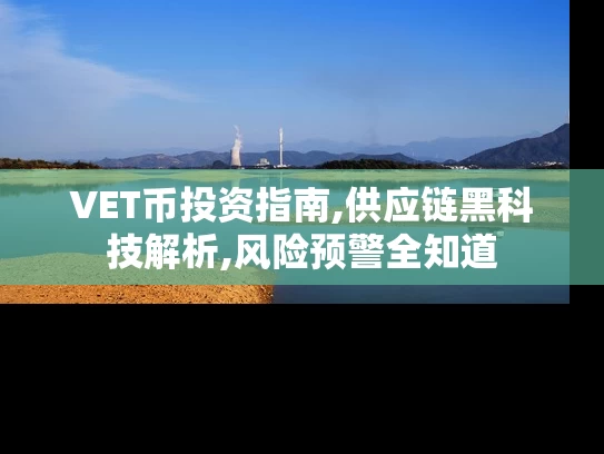 VET币投资指南,供应链黑科技解析,风险预警全知道