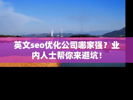 英文seo优化公司哪家强？业内人士帮你来避坑！