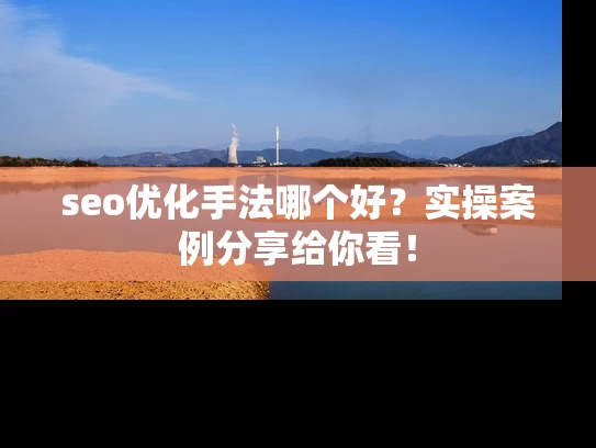 seo优化手法哪个好？实操案例分享给你看！