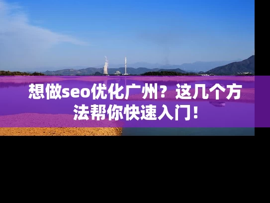 想做seo优化广州？这几个方法帮你快速入门！