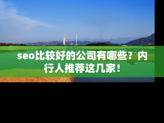 seo比较好的公司有哪些？内行人推荐这几家！