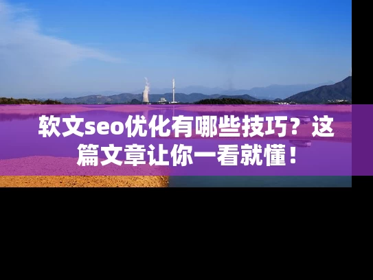 软文seo优化有哪些技巧？这篇文章让你一看就懂！