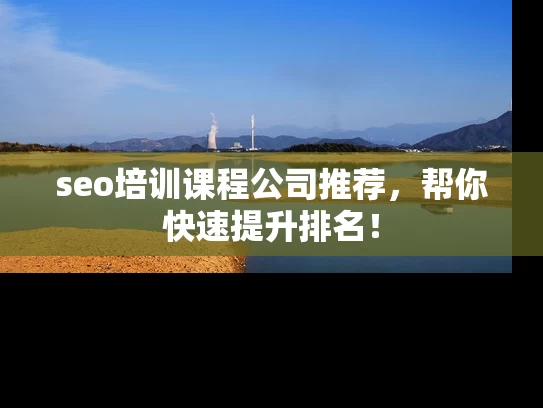 seo培训课程公司推荐，帮你快速提升排名！