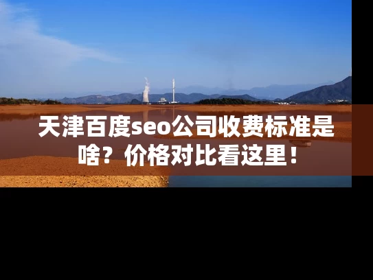 天津百度seo公司收费标准是啥？价格对比看这里！