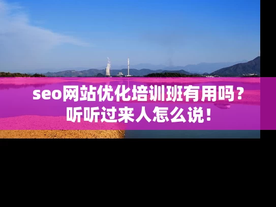 seo网站优化培训班有用吗？听听过来人怎么说！