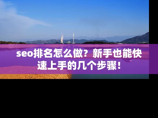 seo排名怎么做？新手也能快速上手的几个步骤！