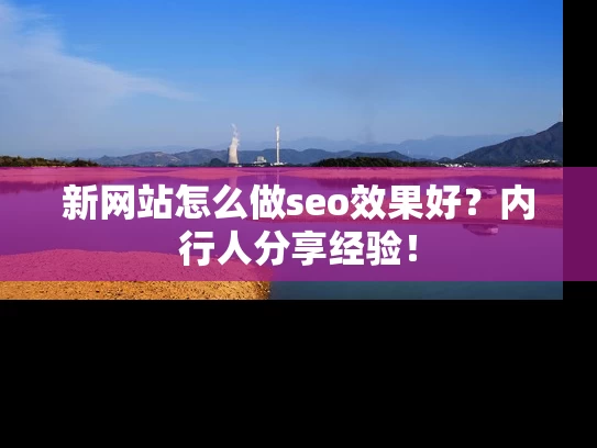 新网站怎么做seo效果好？内行人分享经验！