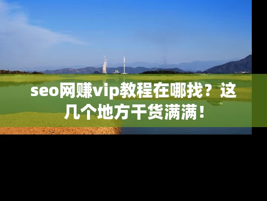 seo网赚vip教程在哪找？这几个地方干货满满！