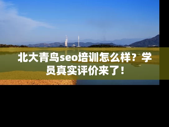 北大青鸟seo培训怎么样？学员真实评价来了！