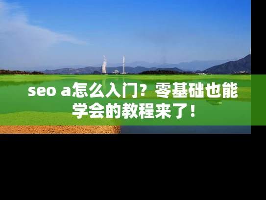 seo a怎么入门？零基础也能学会的教程来了！