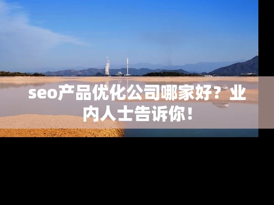 seo产品优化公司哪家好？业内人士告诉你！