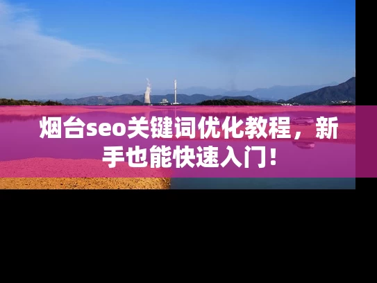 烟台seo关键词优化教程，新手也能快速入门！