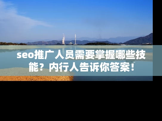 seo推广人员需要掌握哪些技能？内行人告诉你答案！