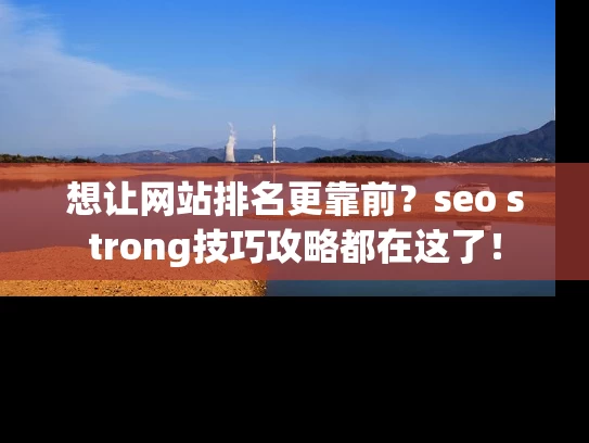 想让网站排名更靠前？seo strong技巧攻略都在这了！