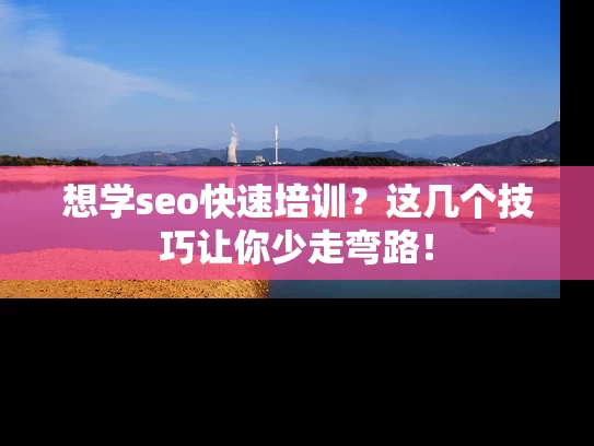 想学seo快速培训？这几个技巧让你少走弯路！