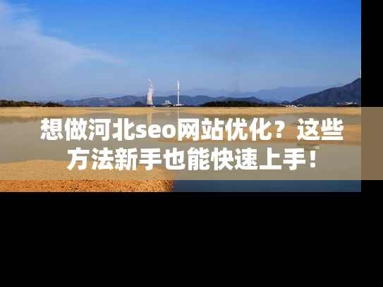 想做河北seo网站优化？这些方法新手也能快速上手！
