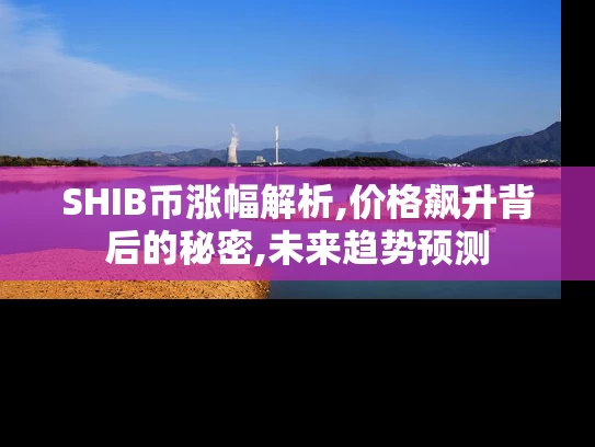 SHIB币涨幅解析,价格飙升背后的秘密,未来趋势预测