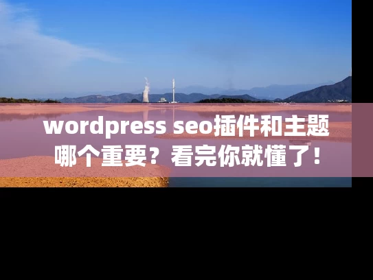 wordpress seo插件和主题哪个重要？看完你就懂了！
