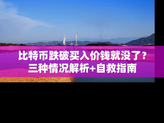 比特币跌破买入价钱就没了？三种情况解析+自救指南