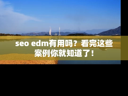 seo edm有用吗？看完这些案例你就知道了！