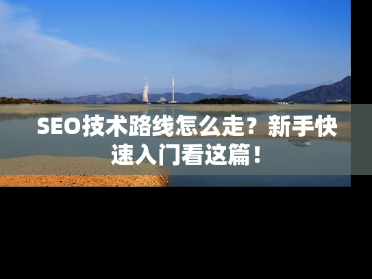 SEO技术路线怎么走？新手快速入门看这篇！