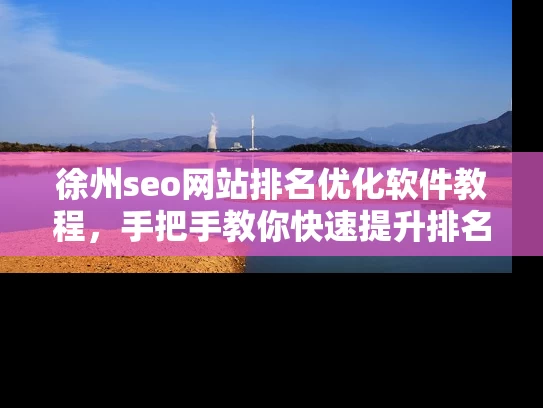 徐州seo网站排名优化软件教程，手把手教你快速提升排名！